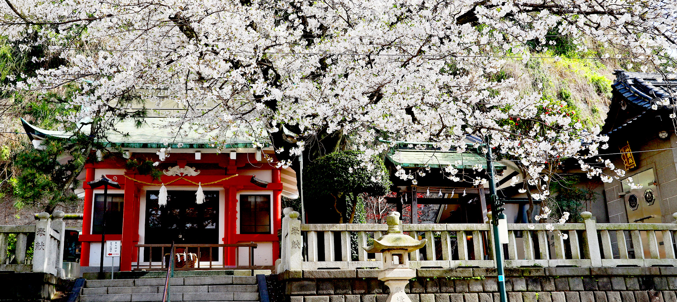 横浜元町の山手側、本物を伝える商店街
