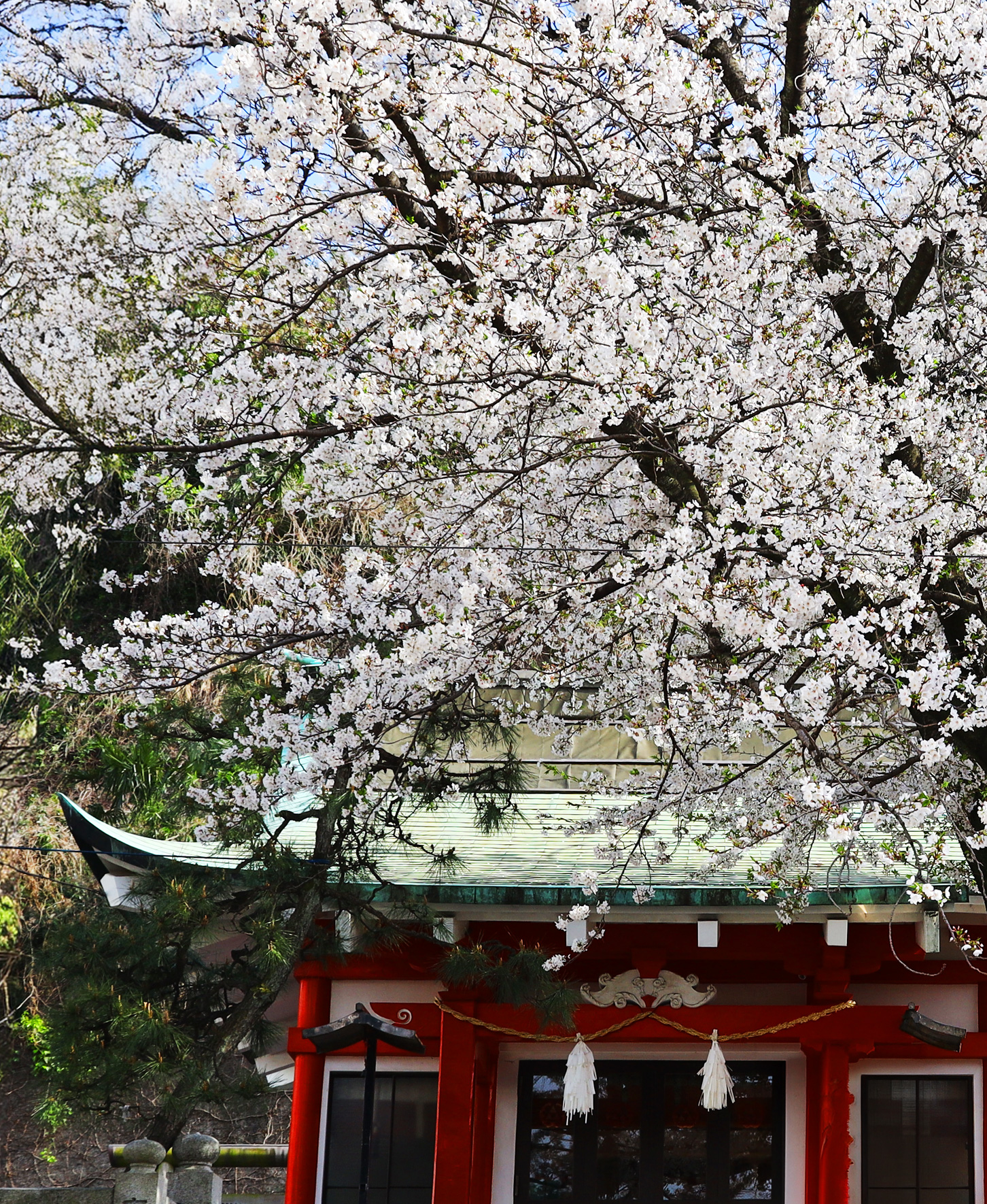 横浜元町の山手側、本物を伝える商店街